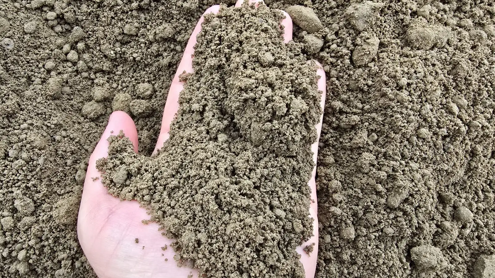 Screened Topsoil photo 5