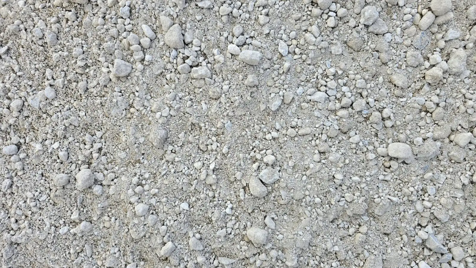 RCA photo 4