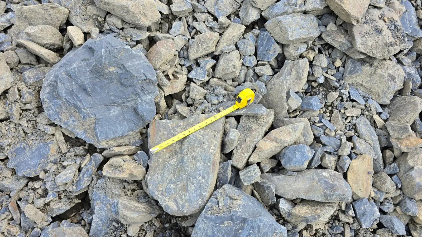 Shot Rock photo 3