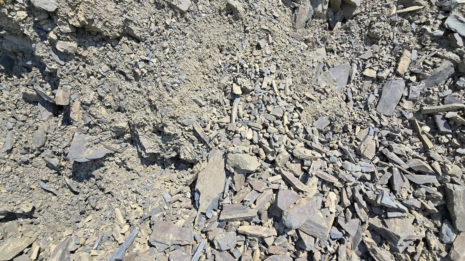 Bank Run Shale photo 3