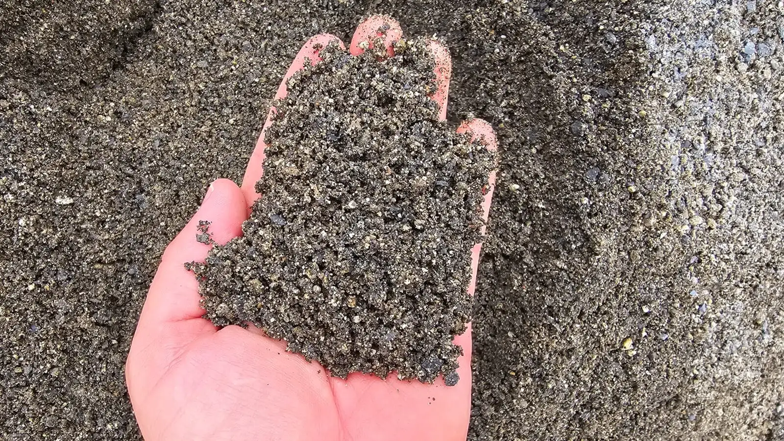 Washed Concrete Sand photo 4