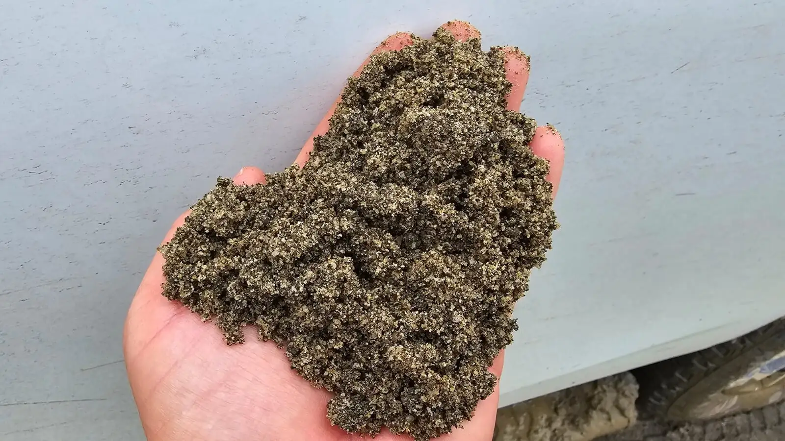 Washed Mason Sand photo 5