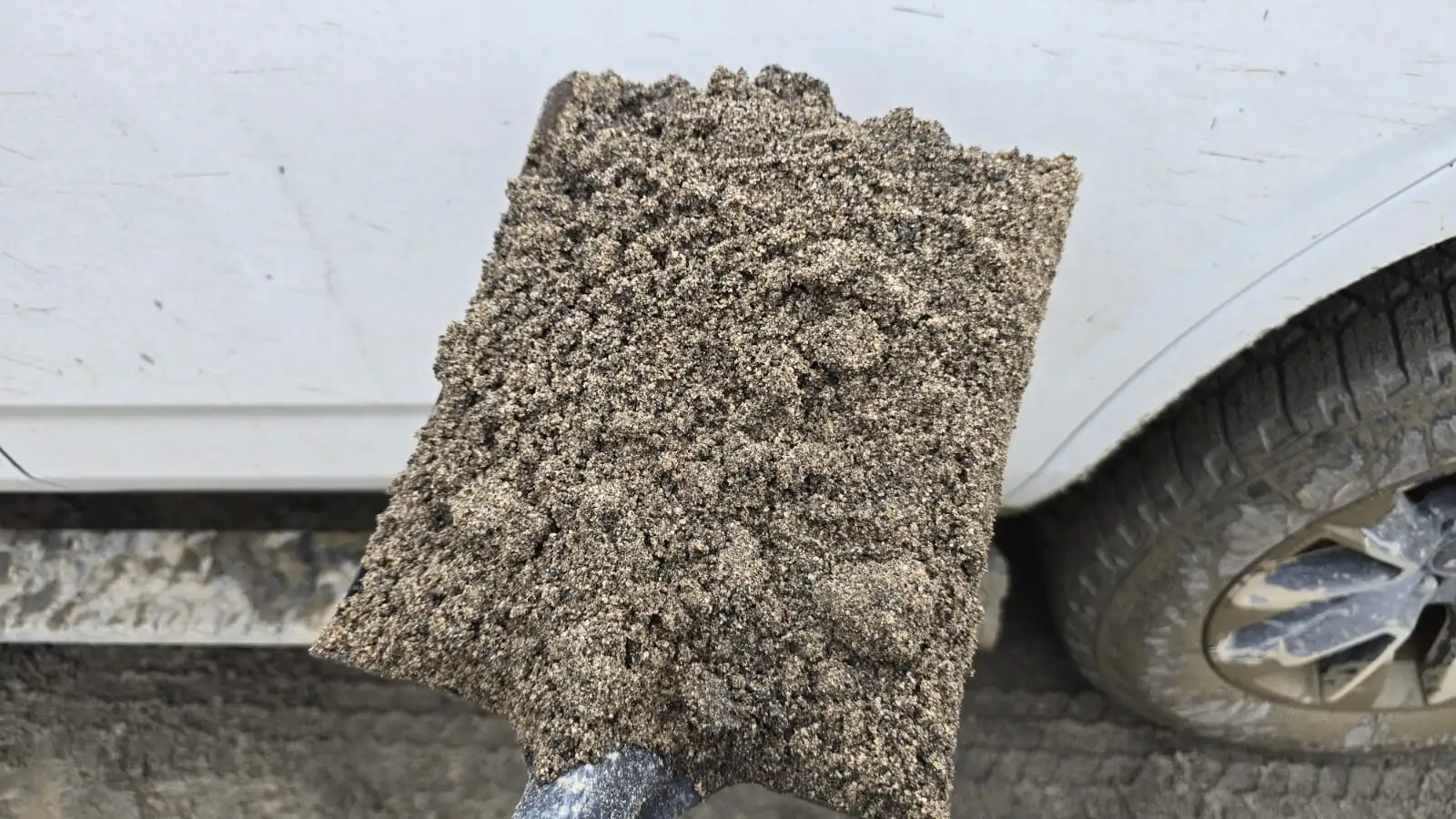 Washed Mason Sand photo 4