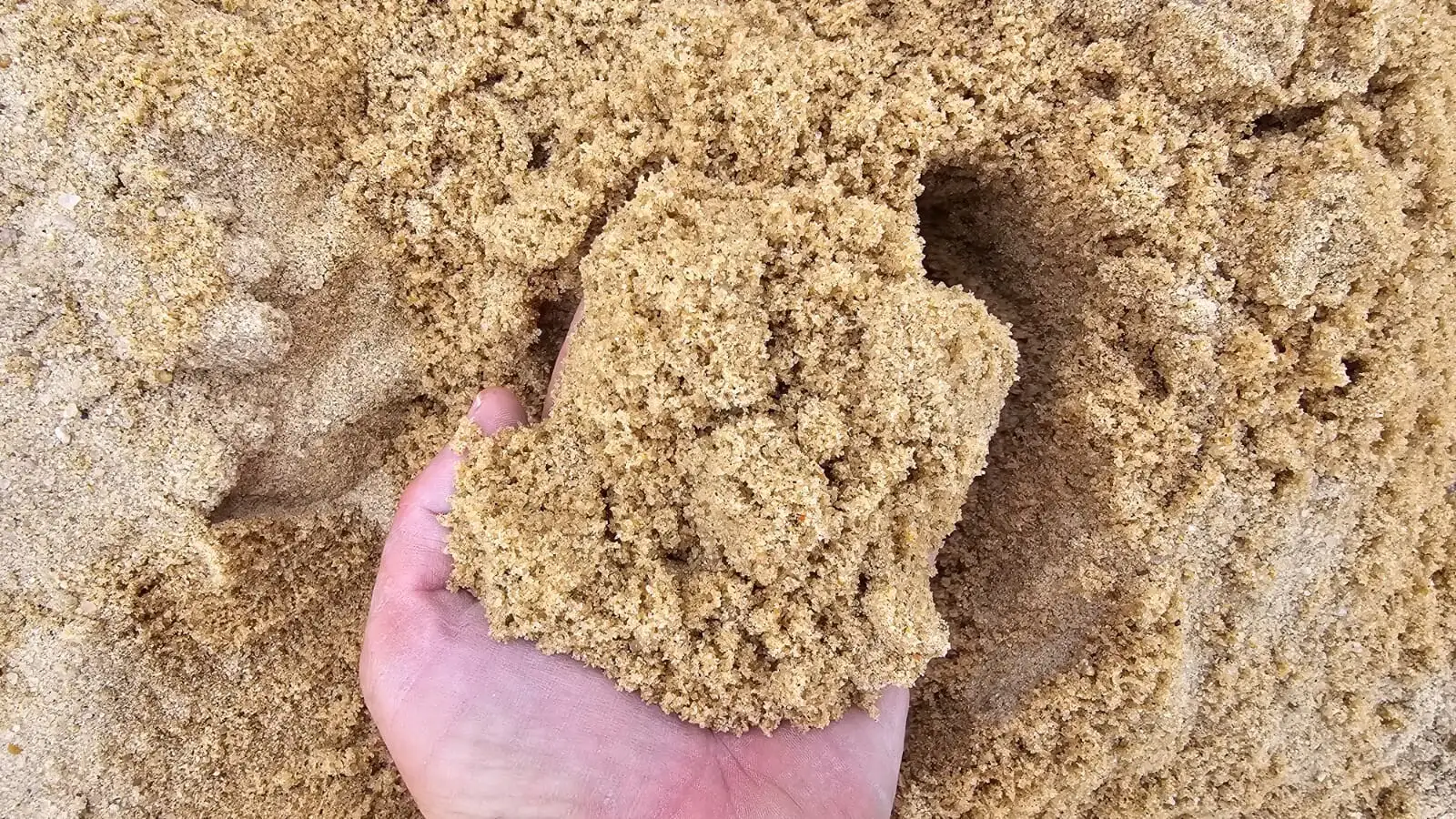 Long Island Beach Sand photo 2