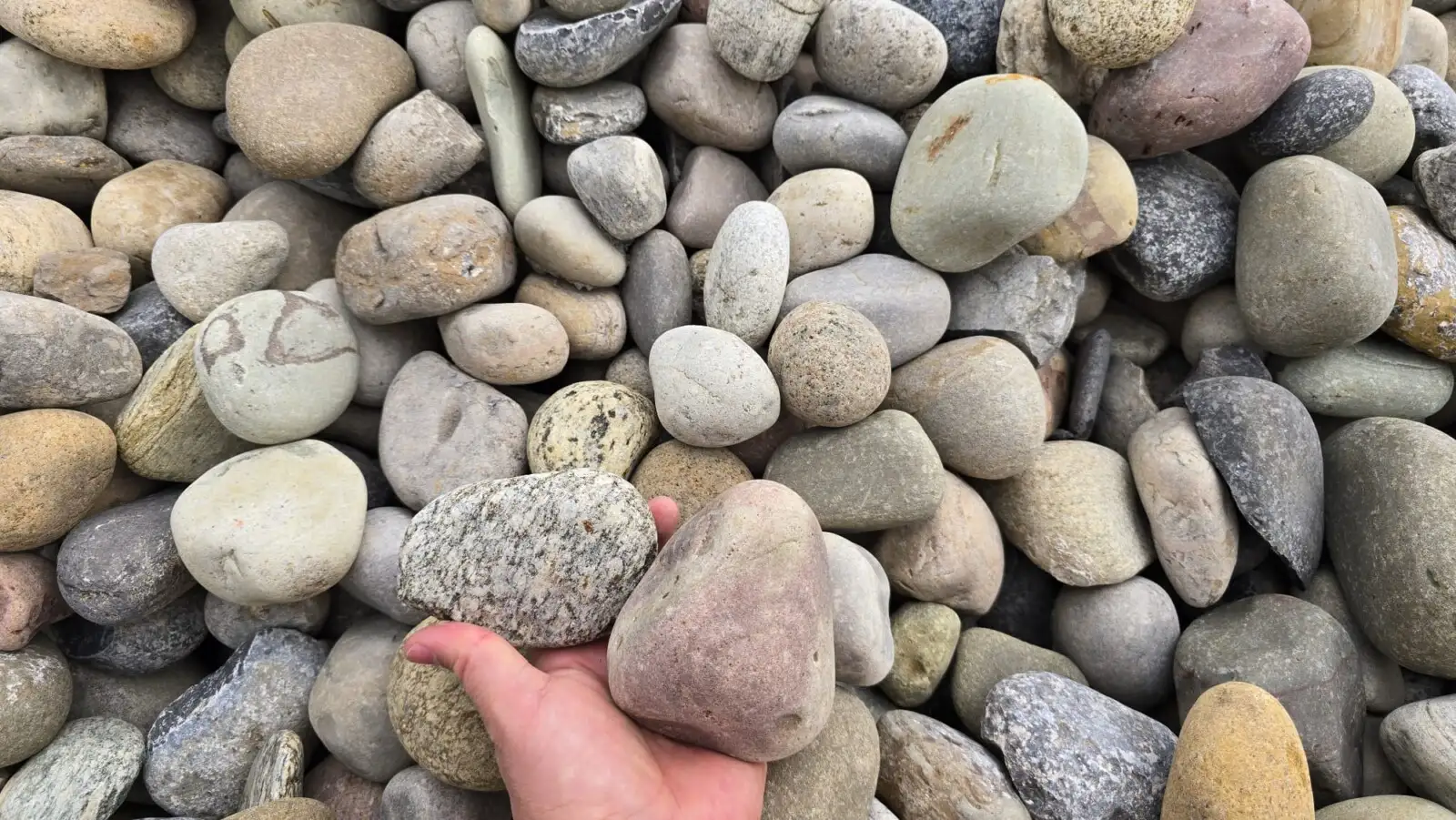 Mohawk Decorative River Stone – 4” Cobble photo 2