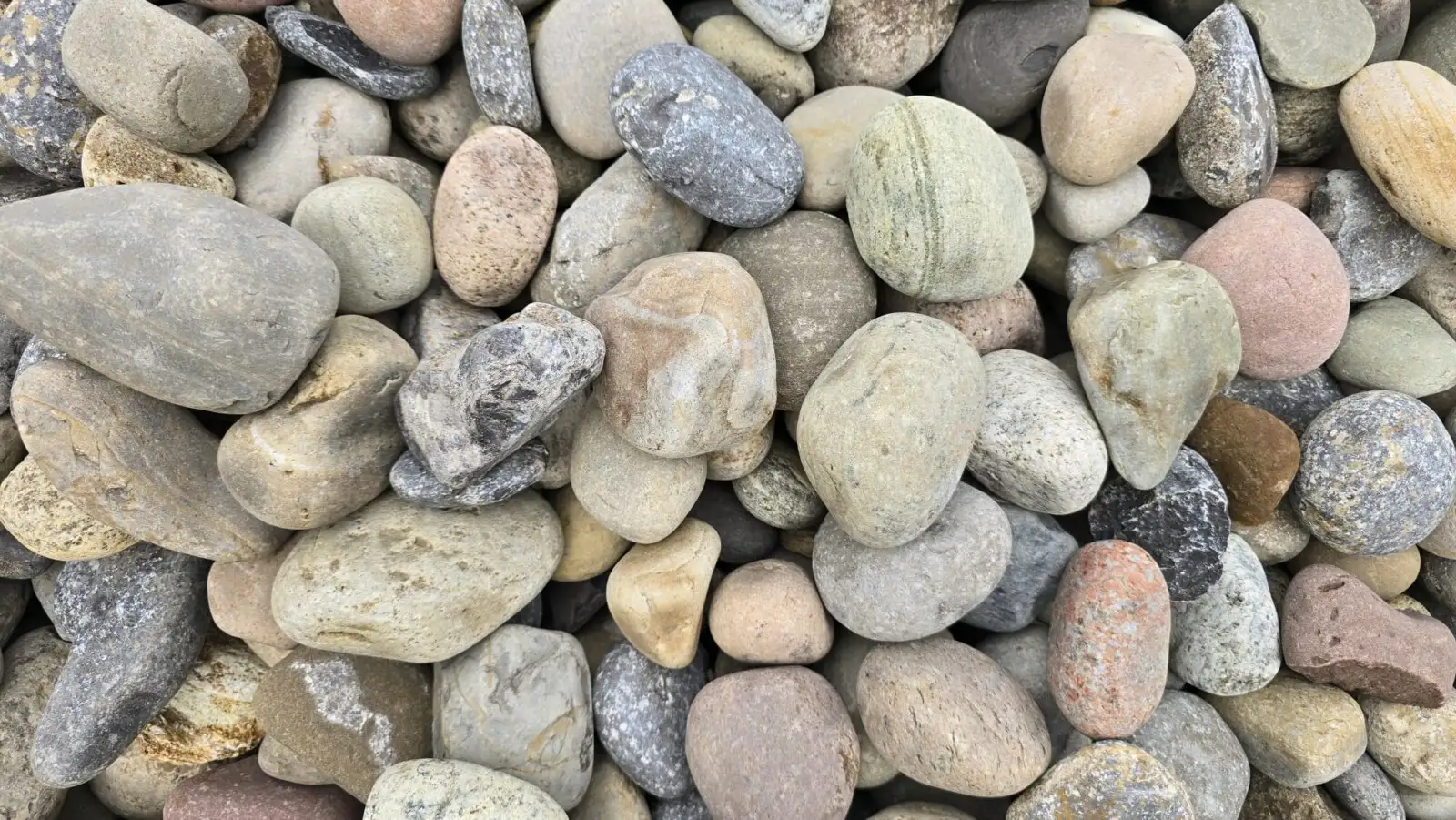 Mohawk Decorative River Stone – 7” Large Cobble photo 2