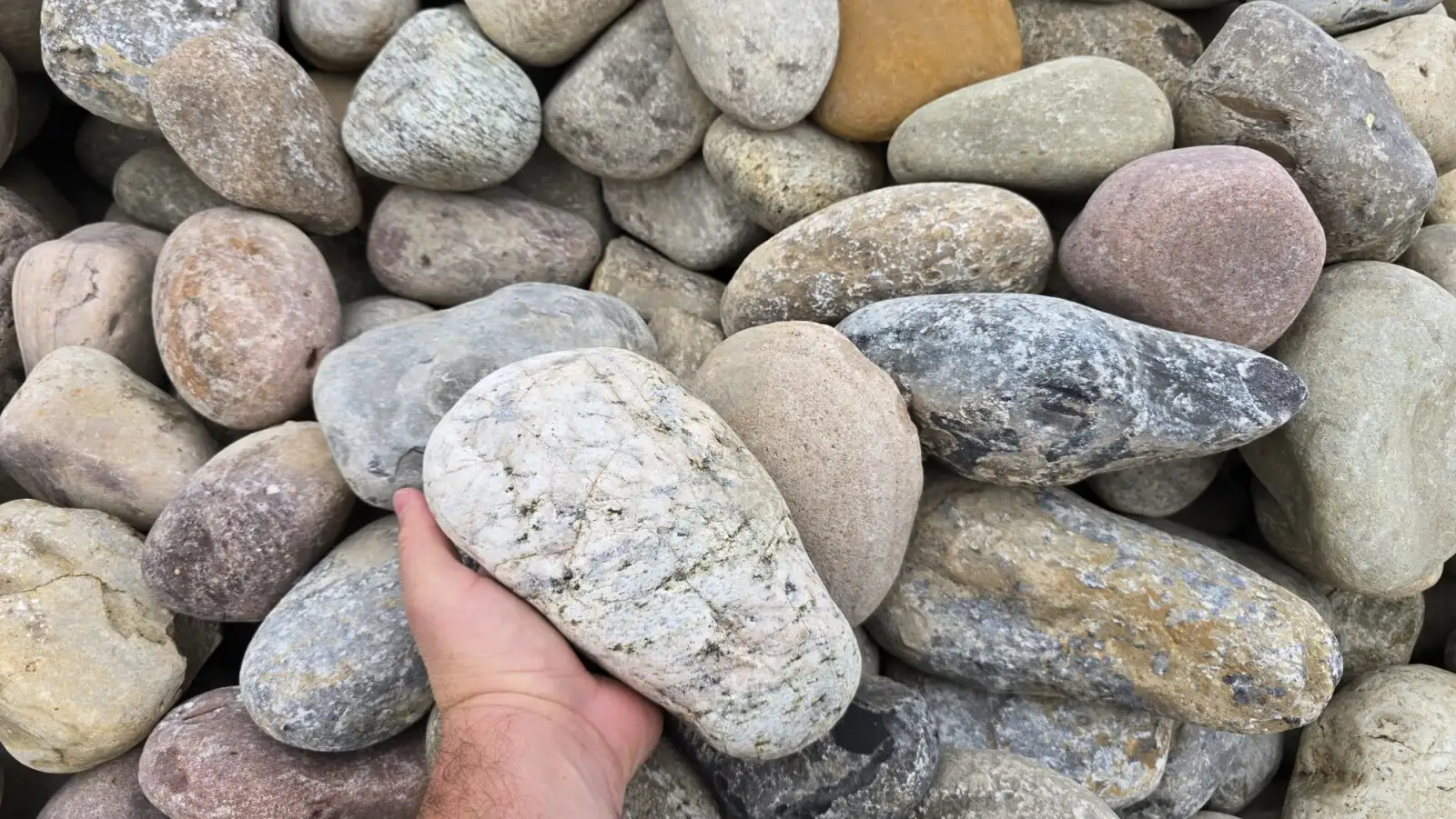 Mohawk Decorative River Stone – 7” Large Cobble photo 3