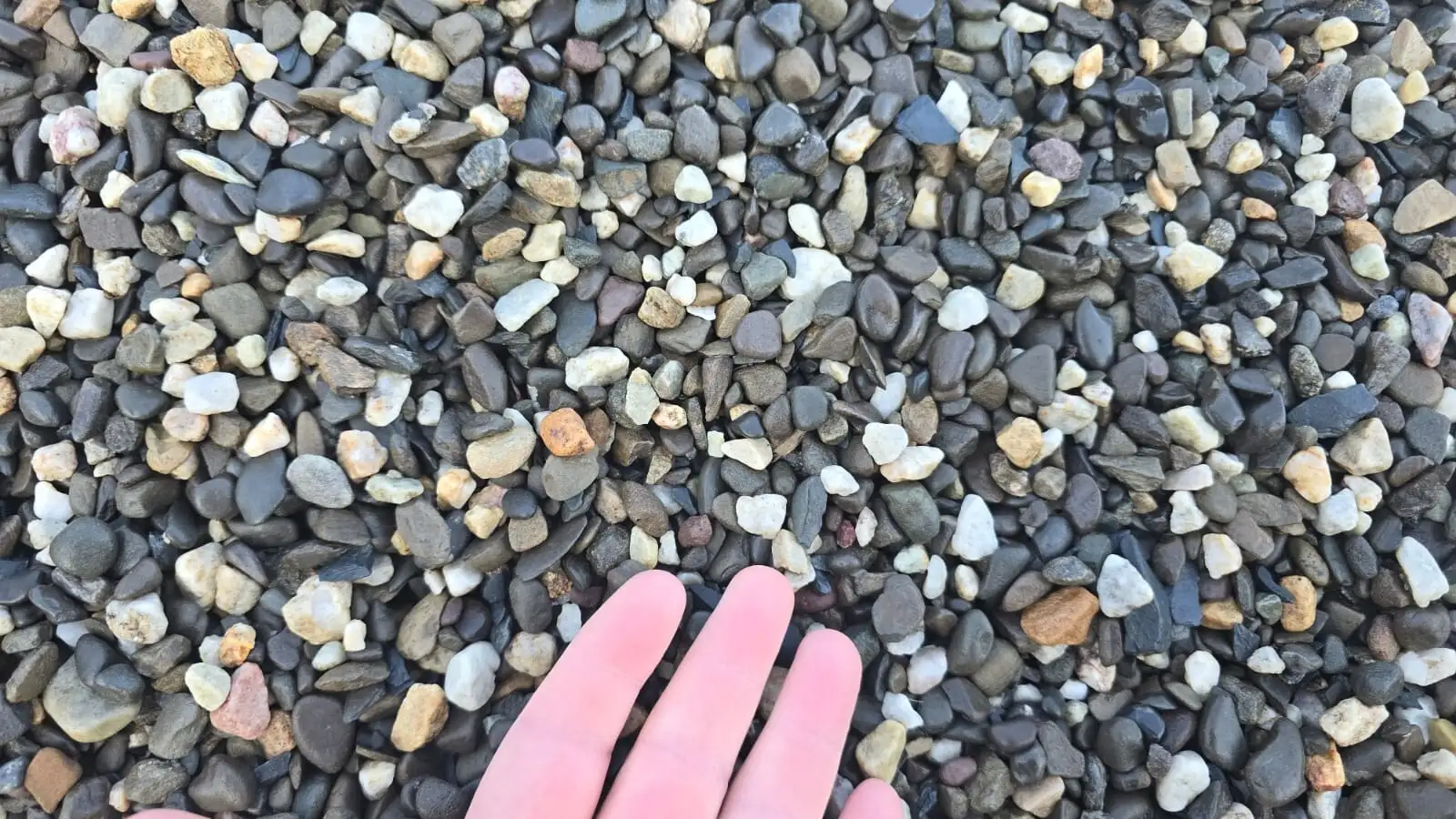 Shawangunk – 3/8 Pea Gravel photo 3