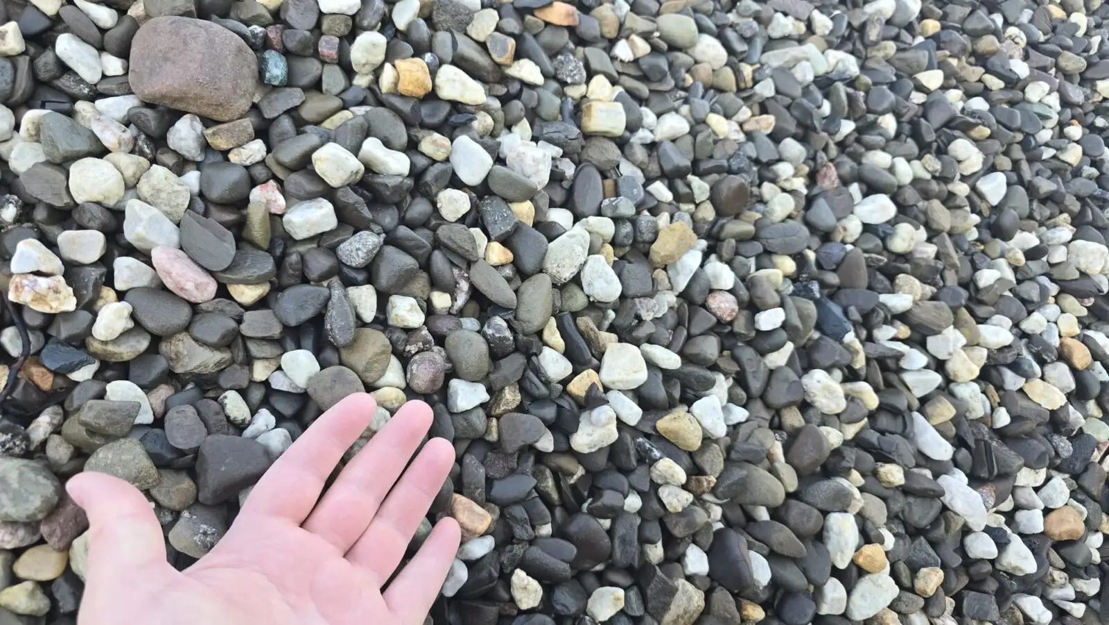 Shawangunk – 3/4 Pebble photo 2