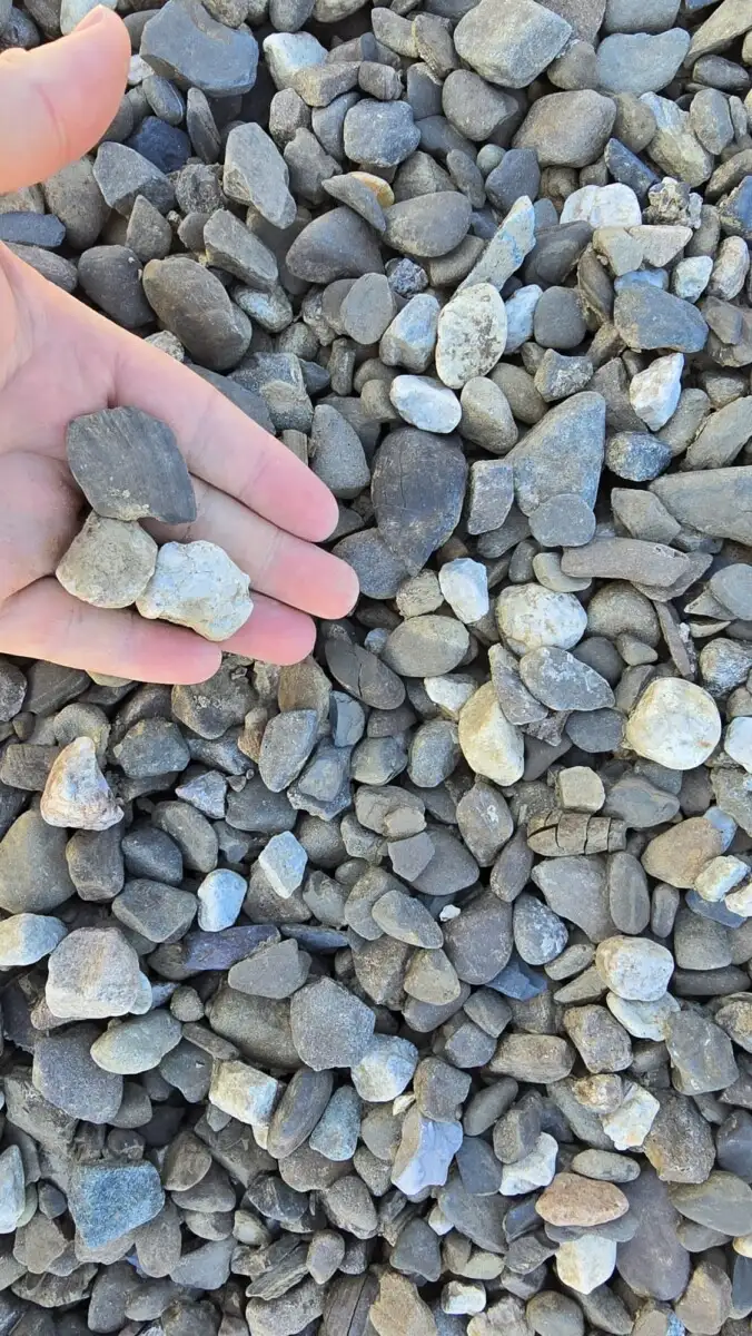 Shawangunk – 3/4 Pebble photo 3