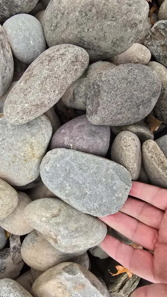 Upper Delaware River Egg Rock 2.5″ – Decorative Landscape Stone – Hudson Valley NY photo 1