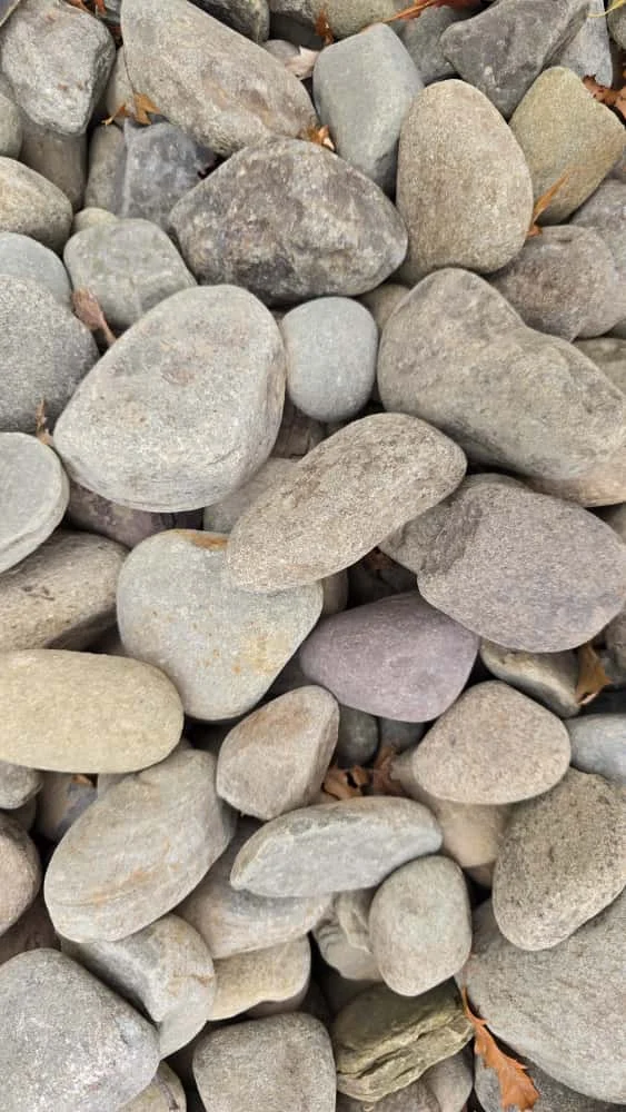 Upper Delaware River Egg Rock 2.5″ – Decorative Landscape Stone – Hudson Valley NY photo 2